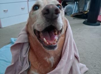 In Loving Memory Of Kenay