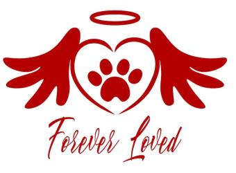 In Loving Memory of Belle
