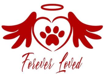In loving Memory of Hope